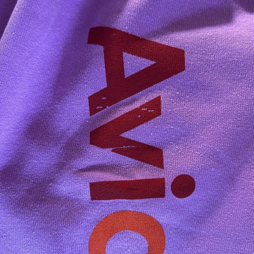 Aviator Nation Purple Sweatpants NWT Small - Picture 3 of 10